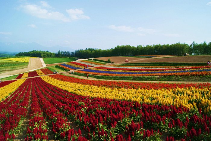 Paling Indah Ini Kota Di Jepang Yang Wajib Dikunjungi Hibur Id