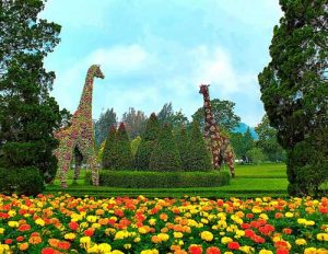 Keindahan Taman Bunga Nusantara