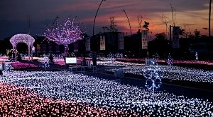 Taman Sakura 