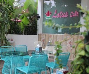 lotus cafe