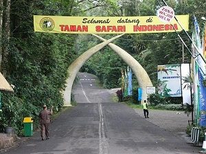 taman-safari-indonesia