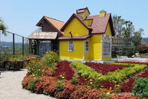 Daya Tarik Rainbow Garden