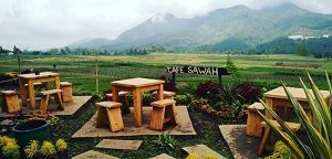 Cafe Sawah Pujon Kidul