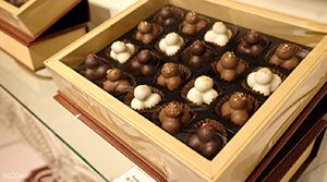 The Art of Chocolate Museum