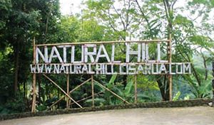 Natural Hill Cisarua