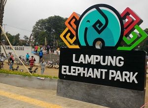Lampung Elephant Park