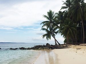 Pulau Owi