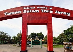 Taman Satwa Taru Jurug