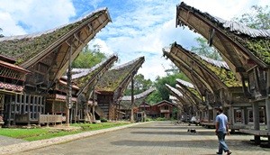 Toraja