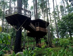 Pocut Meurah Intan Forest Park