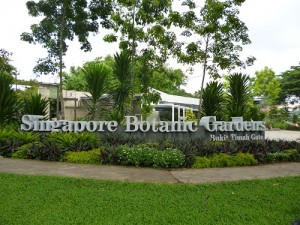 singapore botanical gardens