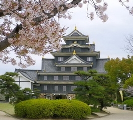 Tsuyama Castle