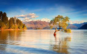 Lake Wanaka