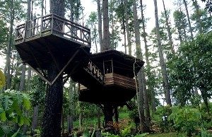 Taman Hutan Raya Pocut Meurah Intan