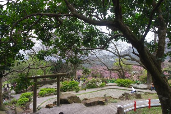 Hasil gambar untuk Taman Nasional Yangmingshan