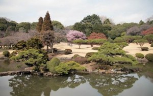 shinjuku gyoen