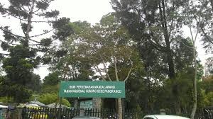 Bumi Perkemahan Mandalawangi