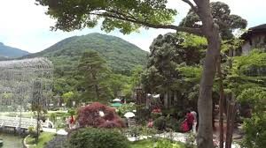   Hakone Castle