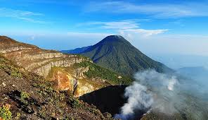   Mount Gede Pangrango National Park