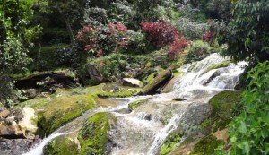 Kaya Waterfall