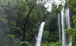 Sekumpul Waterfalls