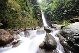 Curug Hide