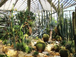 Kebun Raya Palmengarten