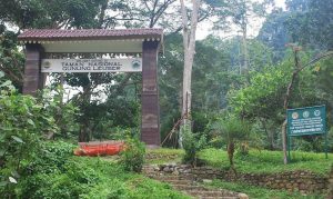 Taman Nasional Gunung Leuser