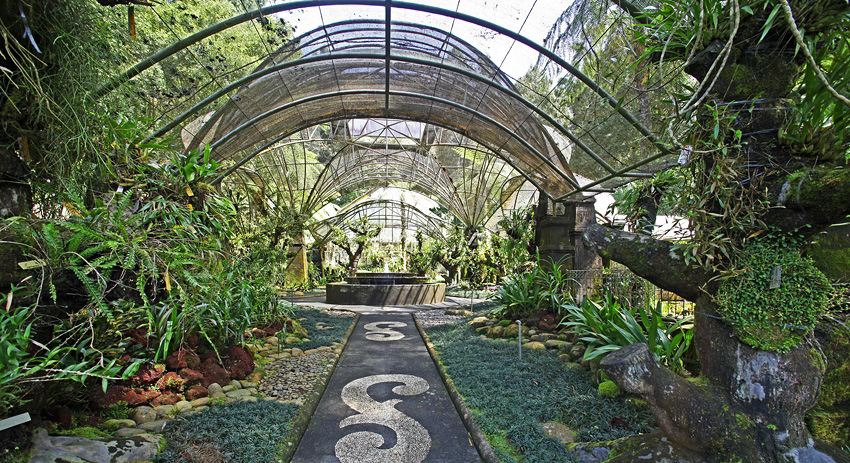 Kebun-Raya-Bedugul-5 eka karya botanic garden ...
