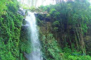 Air Terjun Ringin Gantung, Tumpang, Malang