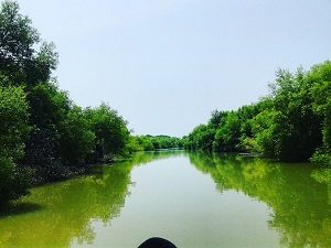 Muara Gembong Mangrove, Bekasi