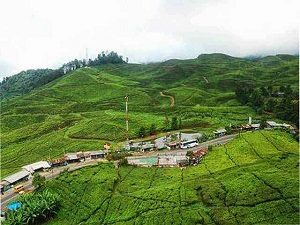 Taman Riung Gunung, Bogor