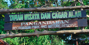 Pangandaran Nature Reserve