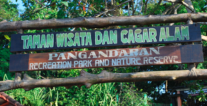 Cagar Alam Pangandaran