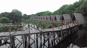 Wisata Alam Mangrove, Muara Angke