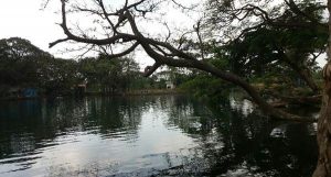 Ronggojalu Lake