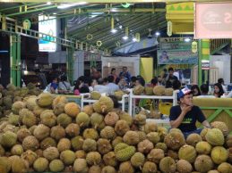 Durian Ucok Medan