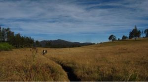 Gunung Argopuro