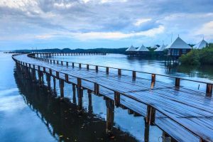 Hutan Mangrove BJBR