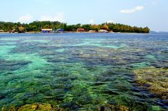 Pulau Terindah di Indonesia - pulau bahawang