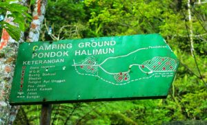 Camping Ground Pondok Halimun Sukabumi
