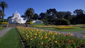 Golden Gate Park