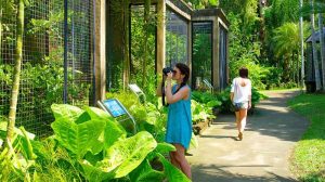 Fasilitas Bali Bird Park