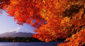 Fuji Five Lakes
