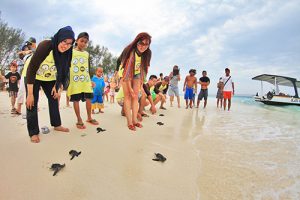 Konservasi Penyu Gili Trawangan