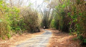 Rute Menuju Pantai Plengkung