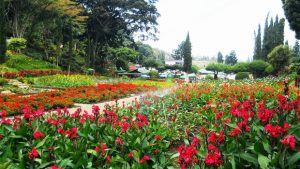 Taman Bunga Cihideung - Bandung