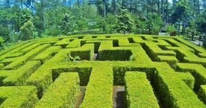 Taman Labirin Coban Rondo