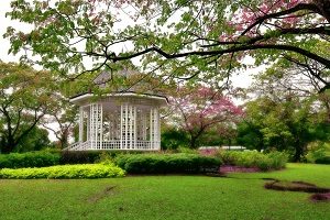 Singapore Botanic Garden