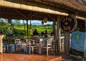 Kopi Kats Ubud